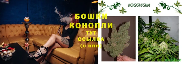 индика Дмитриев
