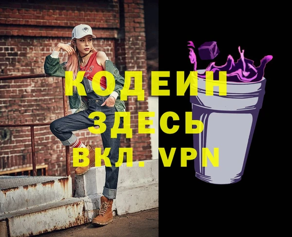 индика Дмитриев