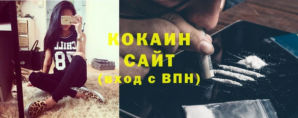 индика Дмитриев