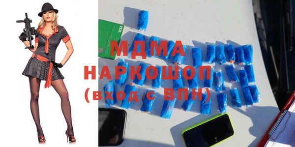 индика Дмитриев