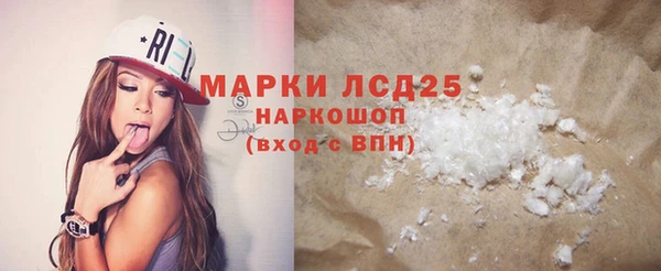 индика Дмитриев