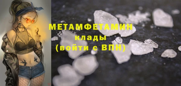 индика Дмитриев