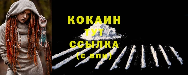 индика Дмитриев