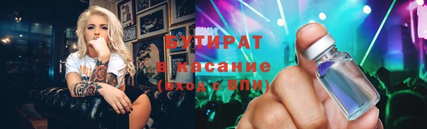 индика Дмитриев
