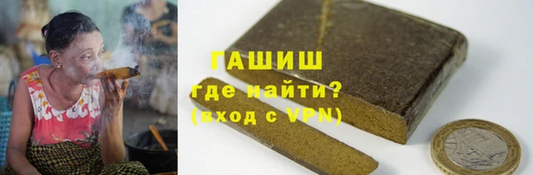 индика Дмитриев