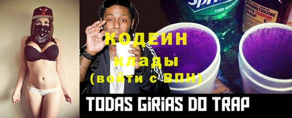 индика Дмитриев