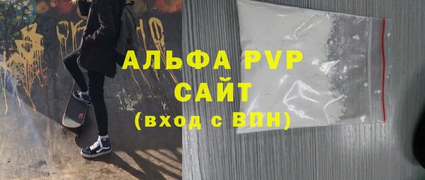 индика Дмитриев
